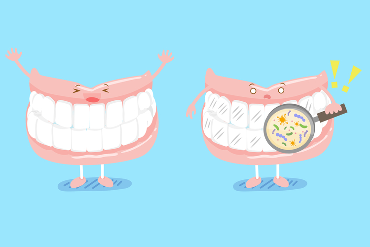 歯周病　予防